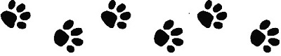 Paws Banner